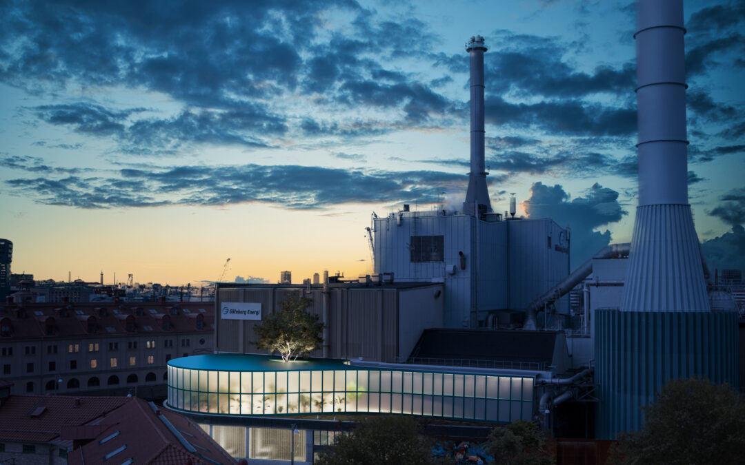Växtverk i Rosenlund