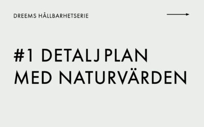 #1 DREEMS HÅLLBARHETSERIE